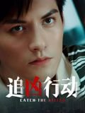 追凶行动